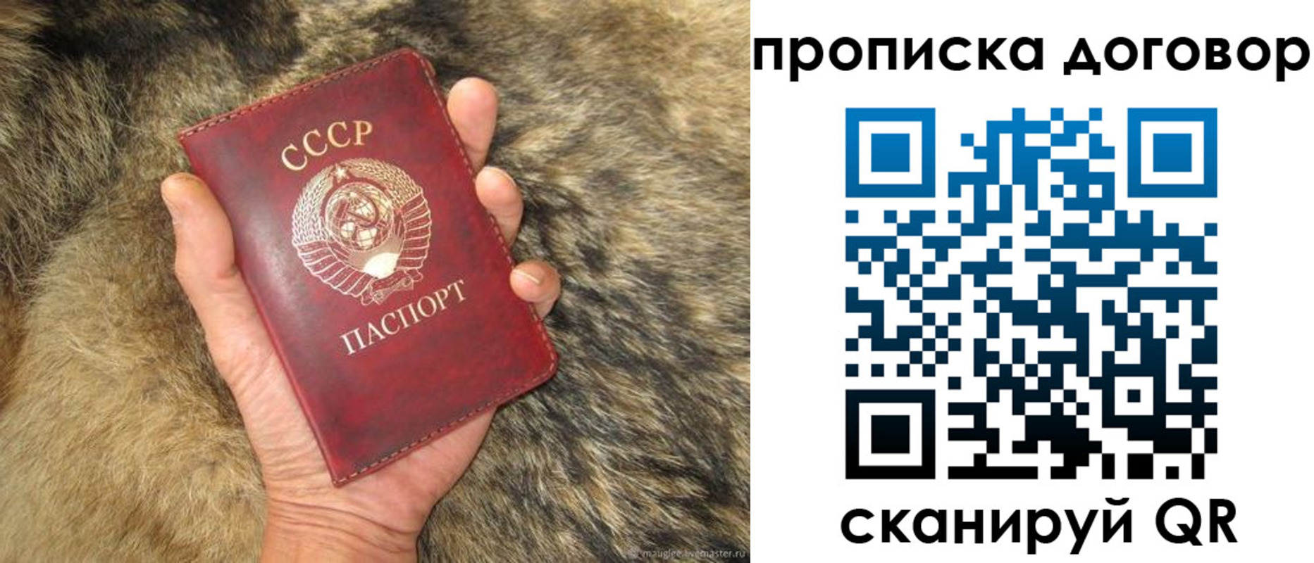 прописка регистрация в Бабаево